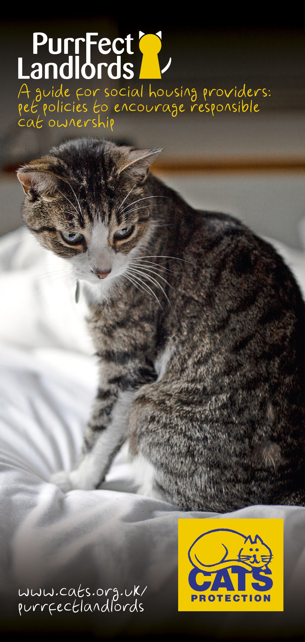 Social housing providers Purrfect Landlords Cats Protection